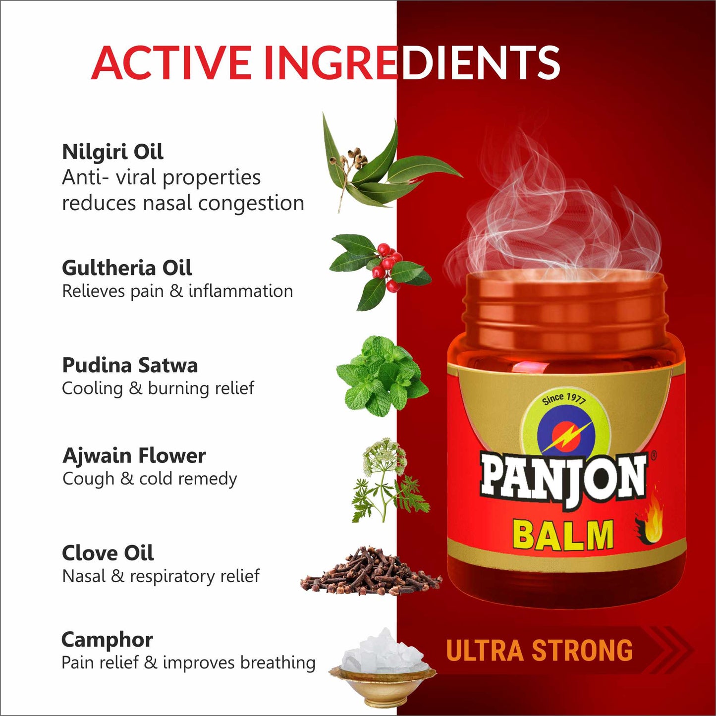 Panjon Balm (Extra Strong) Instant Relief from Headache, Body Pain, Sprain, Cold, 8 ml
