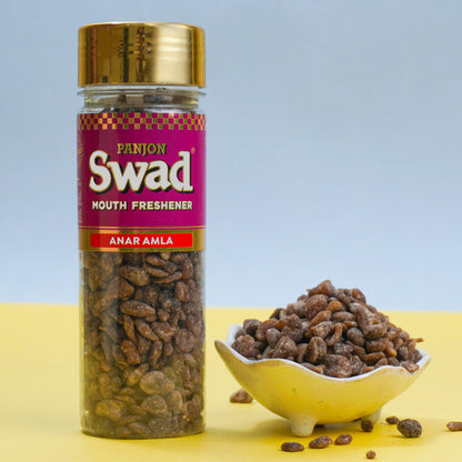 Panjon Swad Anar Amla Mouth Freshener (Digestive Pachak, Churan Mukhwas) 1 bottle, 120g