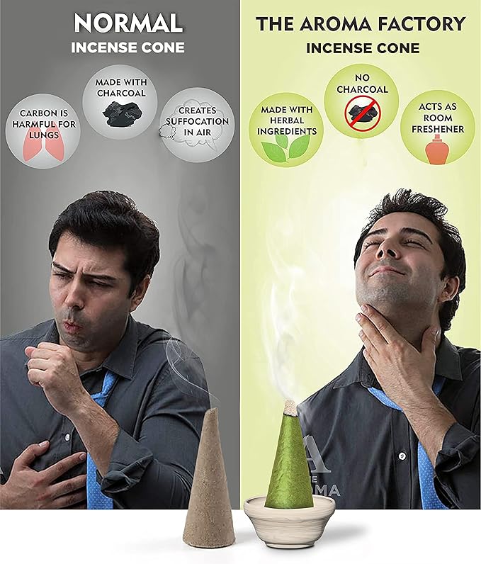 The Aroma Factory Incense Cone Set (Green Apple, Pineapple, Fresh Active, White Sage, Musk) Dhoop Cones, Pack of 5 x 30 Cones