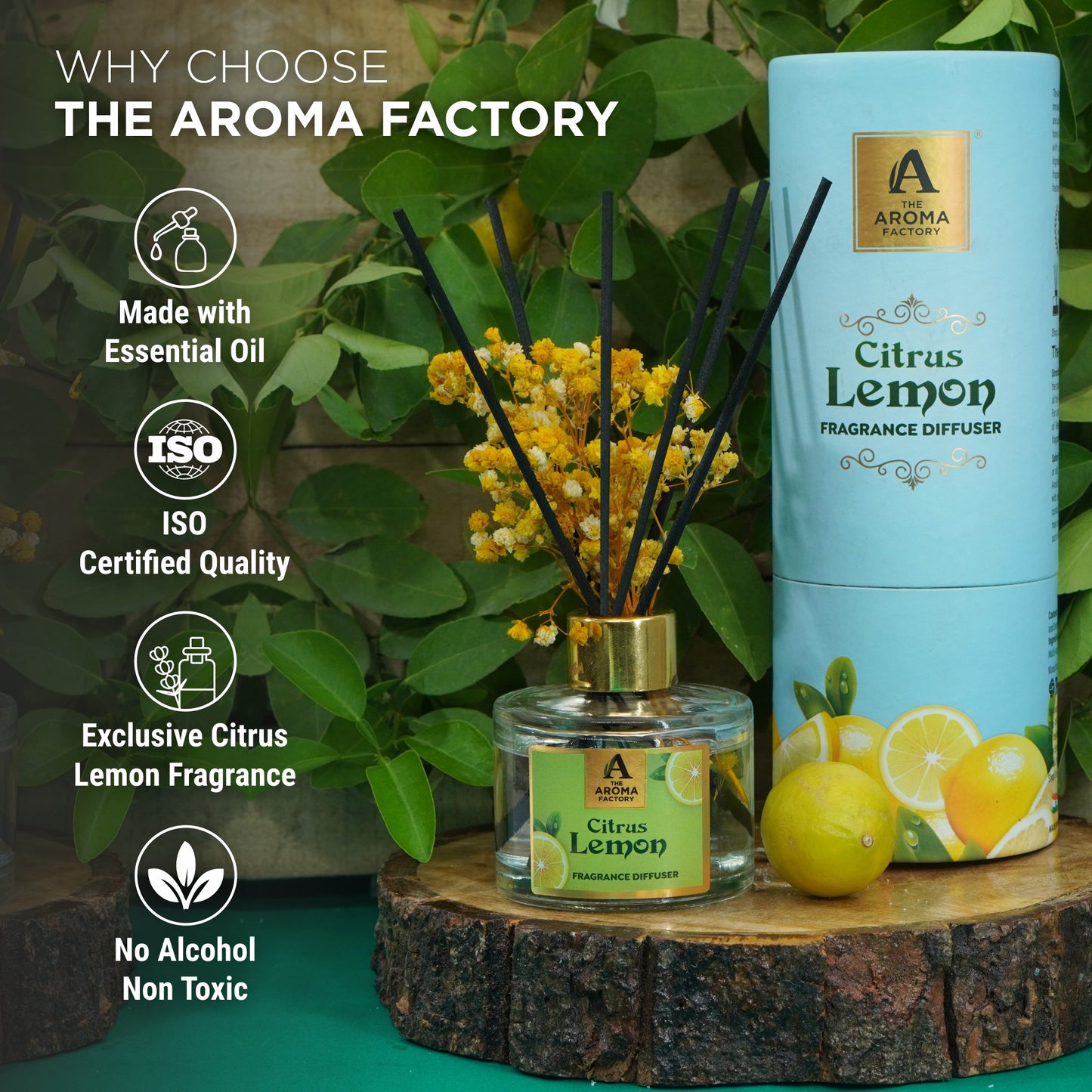 The Aroma Factory Fragrance Diffuser Set with Fibre Reed Sticks, Real Flowers, 100 ml (3.4 Oz) Aroma Oil (Lemon, 1 Box)