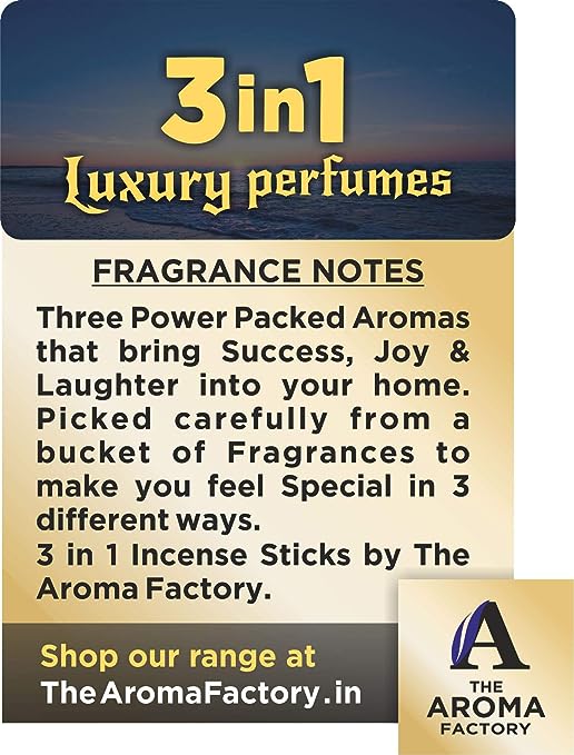 The Aroma Factory Patchouli & 3 in 1 Agarbatti Incense Stick (Charcoal Free & Low Smoke) Bottle Pack of 2 x 100g