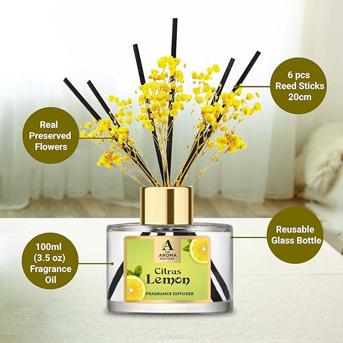 The Aroma Factory Fragrance Diffuser Set with Fibre Reed Sticks, Real Flowers, 100 ml (3.4 Oz) Aroma Oil (Lemon, 1 Box)
