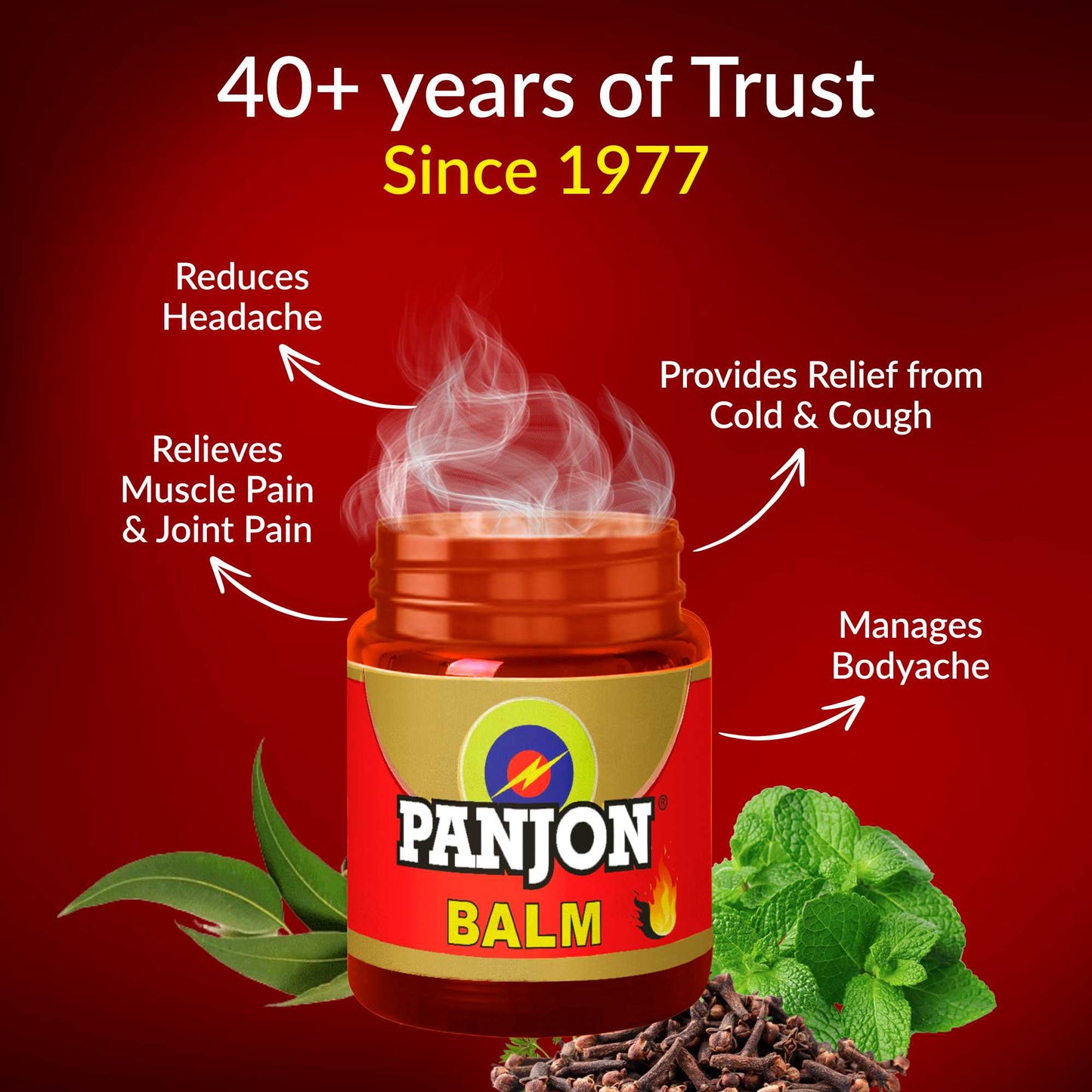 Panjon Balm (Extra Strong) Instant Relief from Headache, Body Pain, Sprain, Cold, 8 ml