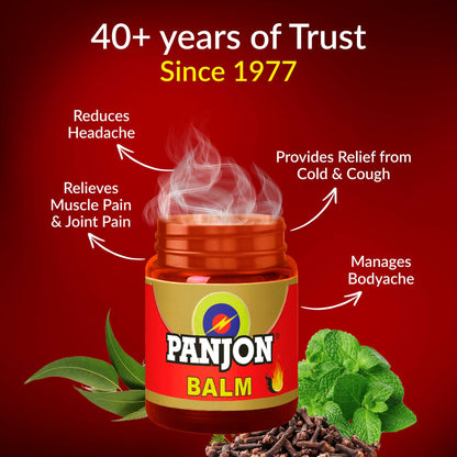 Panjon Balm (Extra Strong) Instant Relief from Headache, Body Pain, Sprain, Cold, 8 ml