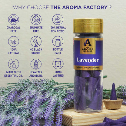 The Aroma Factory Lavender Incense Cone (0% Charcoal 0% Suphates Herbal Dhoop) Free Holder Bottle Pack, 30 Cones