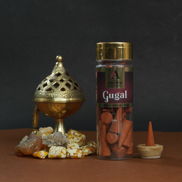 The Aroma Factory Gugal Incense Cone (0% Charcoal 0% Suphates Herbal Guggal Dhoop) Free Holder Bottle Pack, 30 Cones