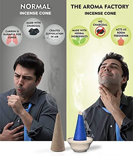 The Aroma Factory White Sage Incense Cone (0% Charcoal 0% Suphates Herbal Smudge Dhoop) Free Holder Bottle Pack, 30 Cones