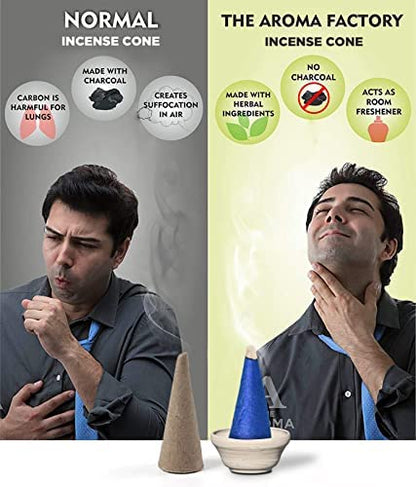 The Aroma Factory White Sage Incense Cone (0% Charcoal 0% Suphates Herbal Smudge Dhoop) Free Holder Bottle Pack, 30 Cones