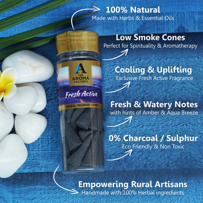 The Aroma Factory Fresh Active Incense Cone (0% Charcoal 0% Suphates Herbal Dhoop) Free Holder Bottle Pack, 30 Cones